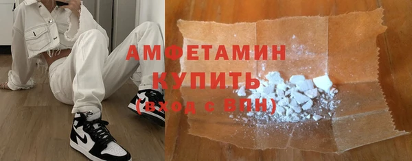 индика Козельск