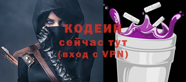 гашик Кодинск