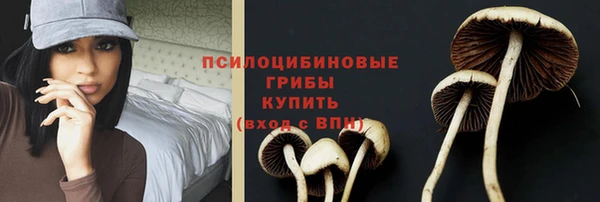 скорость Костерёво