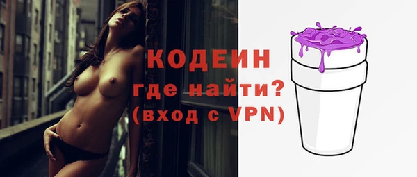 гашик Кодинск