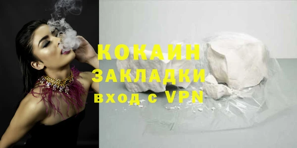 индика Козельск