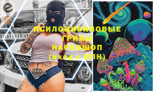 гашик Кодинск