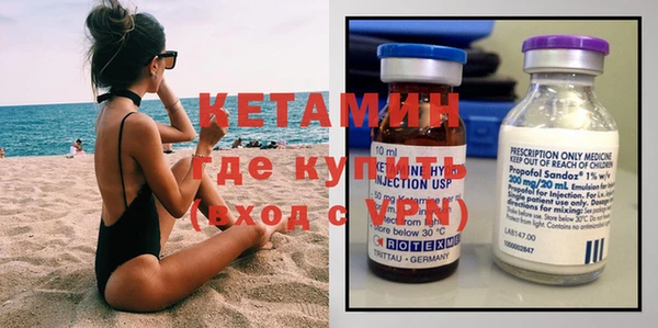 индика Козельск