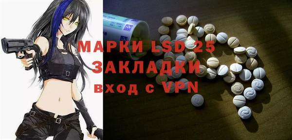 индика Козельск