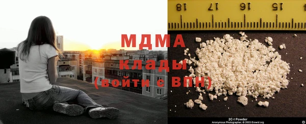 индика Козельск