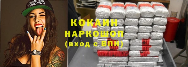 индика Козельск
